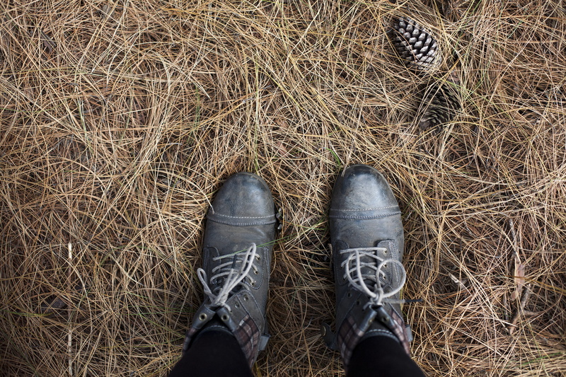 unrecognizable person, people, personal perspective, one person, 4K, boot, nature, black, human body part, toe, field, pair, combat, shoe, pinecone, jeans