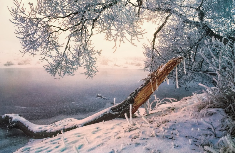 beauty in nature, ice, frozen, 1080P, plant, covering, photography, bare tree, tree, trees, sunlight, morning, day, mist, snow, branch, tranquil scene