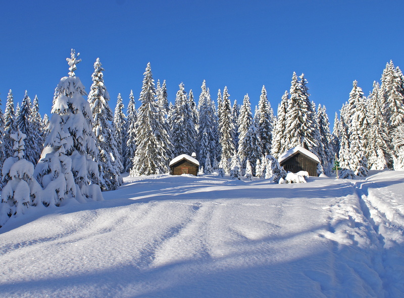 Norway, cold - Temperature, forest, mountain, blue, vinter, winter, two, nature, snow, Vestmarka, sky, Bærum, landscape, outdoors, white, wooden, season