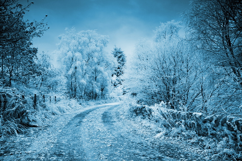 forest, frozen, land, tranquil scene, winter, environment, outdoors, iced, snowcapped mountain, non-urban scene, tree, snow, road, woodland, nature, no people