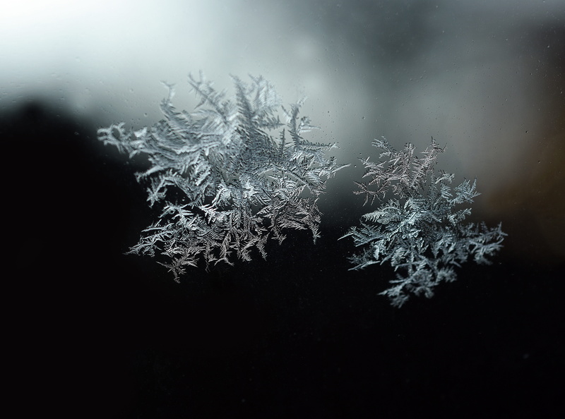 close-up, form, beauty in nature, gel, abstract, water, ice, frozen water, snow, snowing, white, cold temperature, snowflake, ice crystal, tranquility