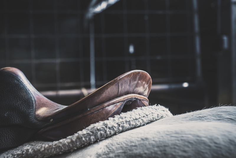 leather, shoe, personal perspective, focus on foreground, fashion, brown, horse saddle, stable, clothing, body part, shallow, cowboy, close, human body part