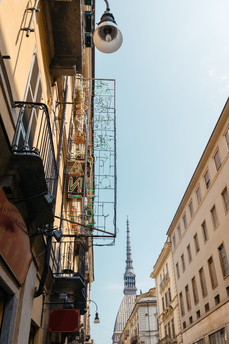 low-angle view, summer, mole, building, 4K, place of worship, green, antonelliana, nature, house, street, day, red, urban, looking, clear sky, residential district