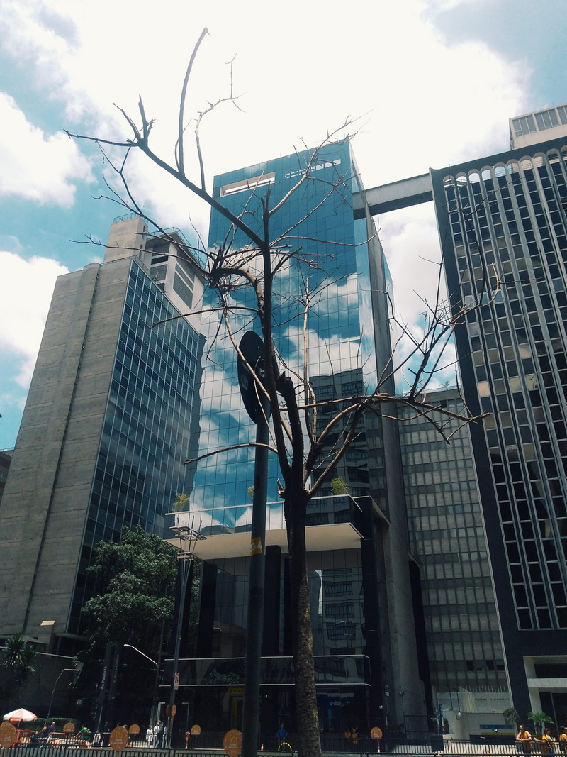 skyscraper, city life, nature, tower, day, sculpture, tall - high, background, office building exterior, architecture, sky, tree, cloud - sky, city, daylight