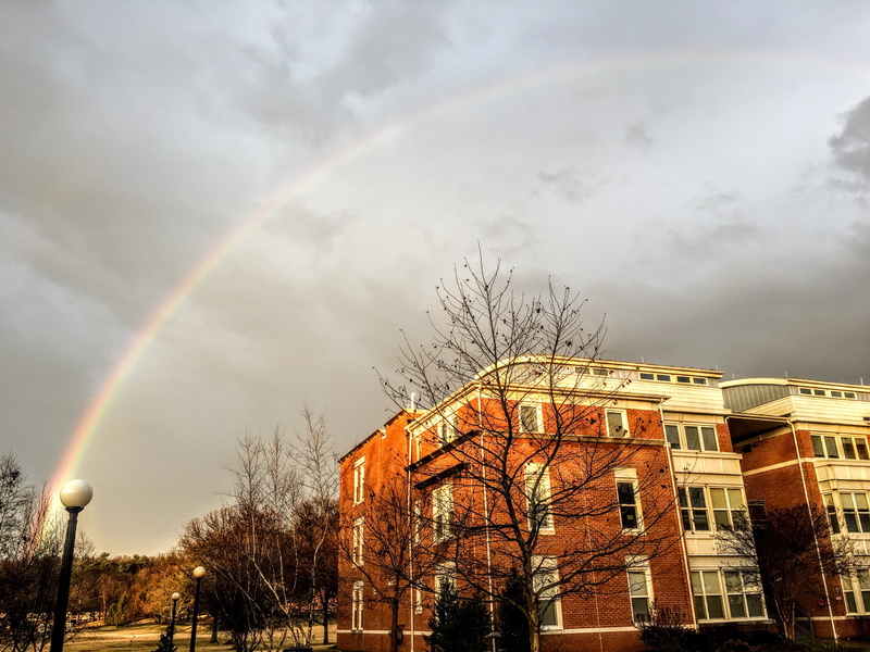 double rainbow, brown, building, cloudy sky, residential district, no people, sky, plant, day, daytime, 4K, nature, cloud - sky, bare tree, tree, vapor trail