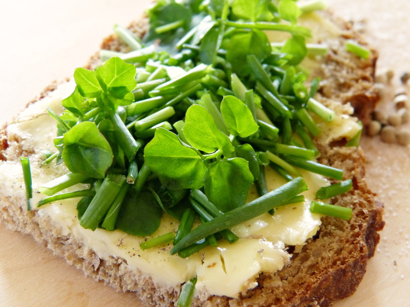 cress bread, source, bless you, bach, indoors, still life, nutrition, food, healthy, detoxify, gluten, watercress, wellbeing, prevent, green, sniff, water