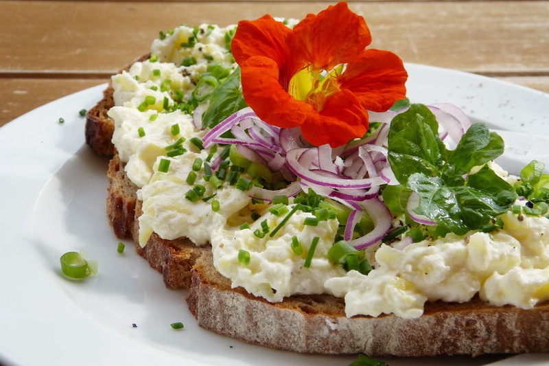 potato cheese, food, watercress, indoors, flu, fruit, immune system, food and drink, of course, brown, no people, onion, blossom, earth apple, potatoes