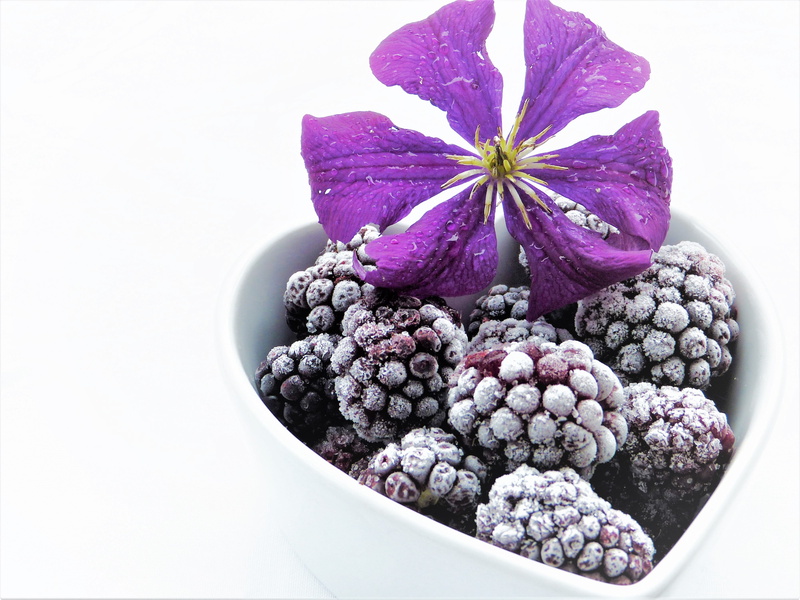 flower, summer, blueberry, clematis, healthy, bio, studio shot, still life, cool, blossom, indoors, bloom, berry fruit, nature, vegetarian, cold, sugar-