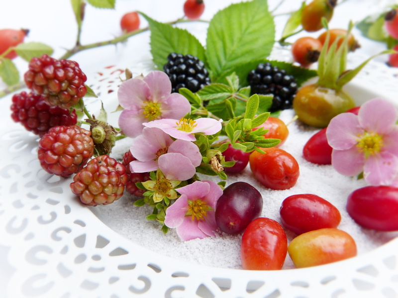 invitation, secondary plant substances, healthy eating, organic farming, berry fruit, summer, bio, selective focus, day, feed, blackberries, fruit, 4K