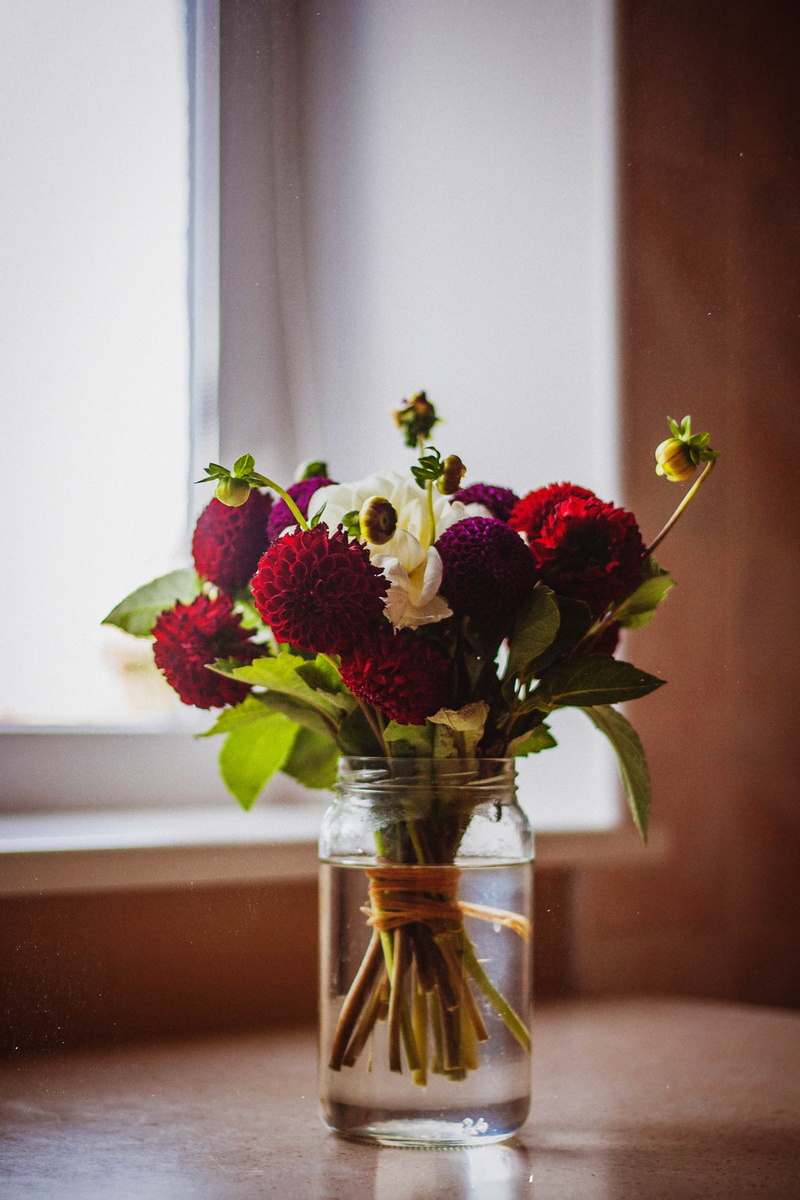 flowering plant, container, leaves, nature, bouquet, blossoms, flower arrangement, decor, plant, table, filled, close-up, mason, vase, interior, white