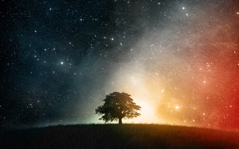 silhouette, landscape, space, sky, astronomy, stars, night, cosmosition, nature, digitalcomposition, trees, 1080P