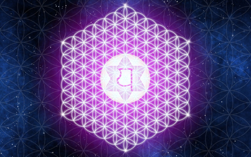 life, geometry, flowers, digitalcomposition, purple, flower, space, blue, 1080P