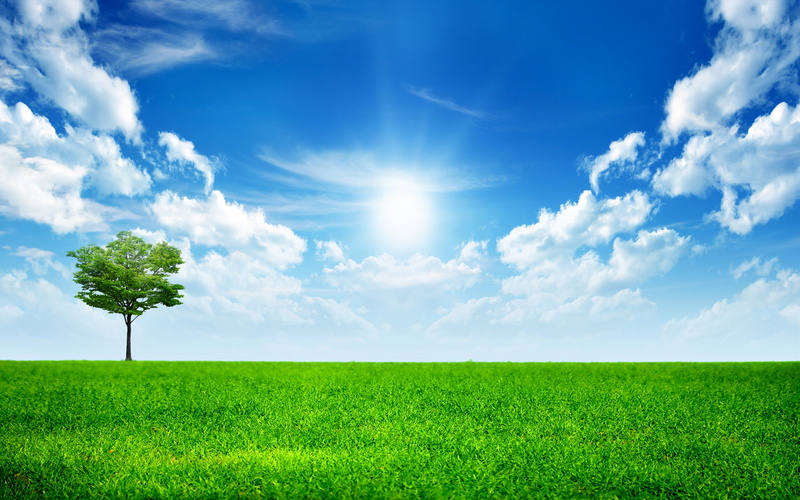 alone, thesun, clouds, grass, fields, world, 2K, green, sky, blue, landscape, digitalcomposition, trees
