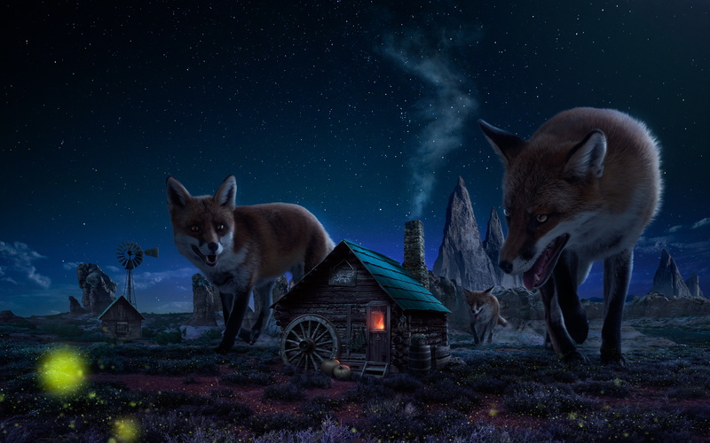 no people, night, domestic, illuminated, landscape, stars, demons, vertebrate, standing, red, field, land, 5K, sky, nature, wolves, mammal, animals, darkblue