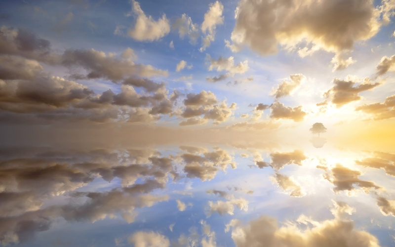 digitalcomposition, yellow, photography, thesun, heaven, sky, 2K, nature, blue, clouds, sunset, trees