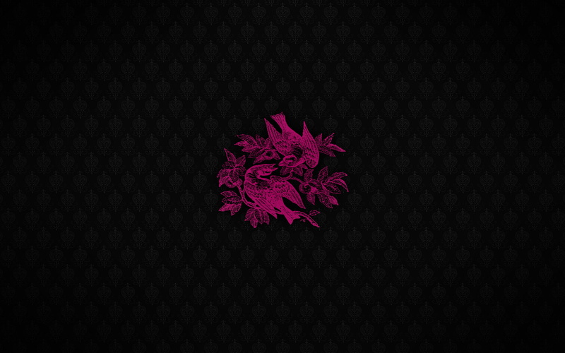 abstract, studio shot, flower head, 1080P, black background, pink, copy space, no people, pattern, flower, design, indoors, close-up, cut out, art and craft