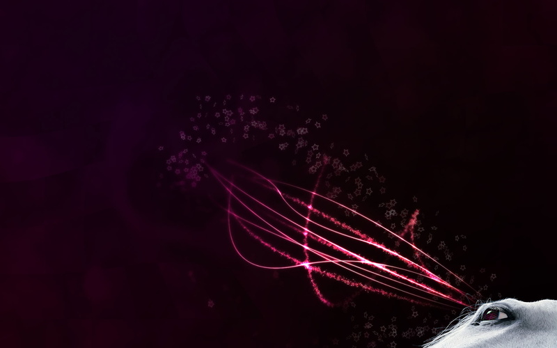 long exposure, outdoors, low angle view, copy space, digitalcomposition, studio shot, smoke - physical structure, 1080P, purple, no people, night, animals