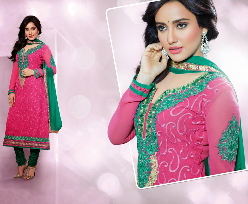 dress, beauty, pink color, Neha  Sharma, women, indoors, people, hairstyle, National Dress, front view, adult, Actresses, standing, fashion, looking at camera