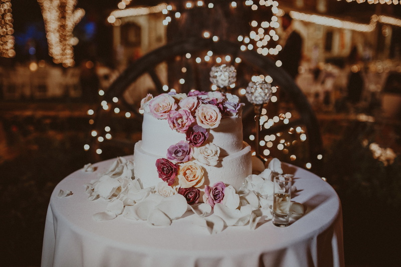plant, food and drink, wedding cake, event, table, baked, no people, sweet, food, temptation, cake, indoors, freshness, dessert, indulgence, sweet food