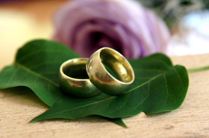 symbol, beautiful, love, close-up, two, wedding rings, food and drink, plant part, healthcare and medicine, marry, medicine, gold ring, outdoors, green color