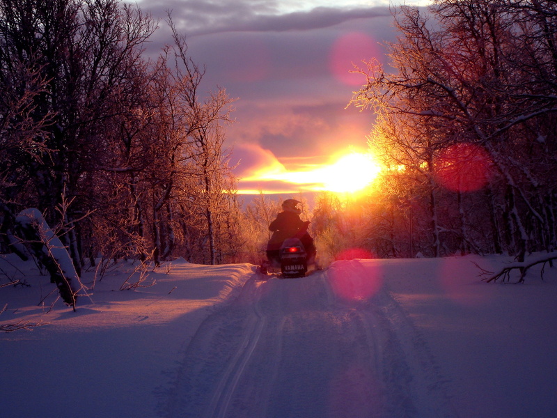 transportation, travel, snowmobile trail, yamaha, frost, one person, track, person, sunlight, sunrise, snowmobile, cold, trees, sky, silhouette, scenics - nature