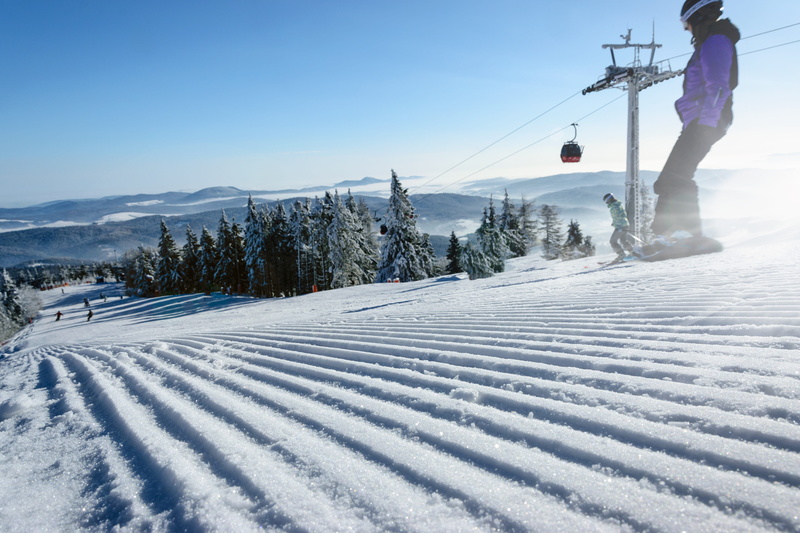 the alps, winter sport, gondola, real people, covering, electricity, scenics - nature, frosty, alpine, winter holidays, snowcapped mountain, snow, plant