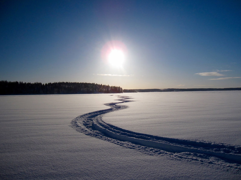 environment, commodity swamp, scenics - nature, beauty in nature, blue, cold temperature, snow, tranquility, backe, sky, scenics, nature, bright, sunlight