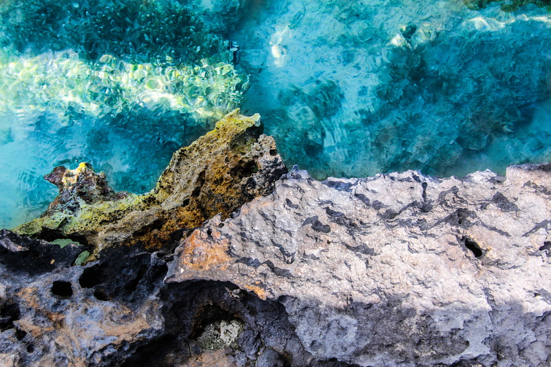 snorkling, land, solid, turquoise colored, marine, underwater, turks and caicos islands, rock formation, nature, beauty in nature, rocks, undersea, vacation
