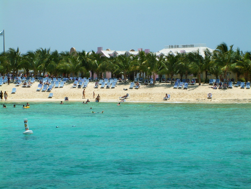 real people, beach, sand, travel Locations, landscape, relaxation, Turks Caicos, crowd, vacation, clear sky, tropical Climate, plant, large group of animals