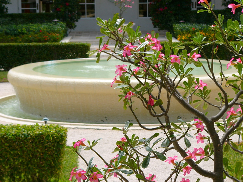 built structure, no people, flowerbed, growth, freshness, front or back yard, water, outdoors, turks and caicos islands, providenciales, flower, fountain