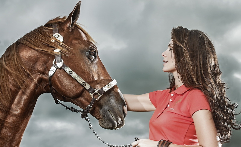 animal wildlife, Friends, Life, activity, 1080P, hairstyle, teenager, females, polo, riding, domestic, horseback riding, livestock, women, positive emotion