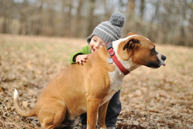 baby, boxer, hugs, boy, friend, Dog, 1080P, joy, mood, white, hd background, best, tan