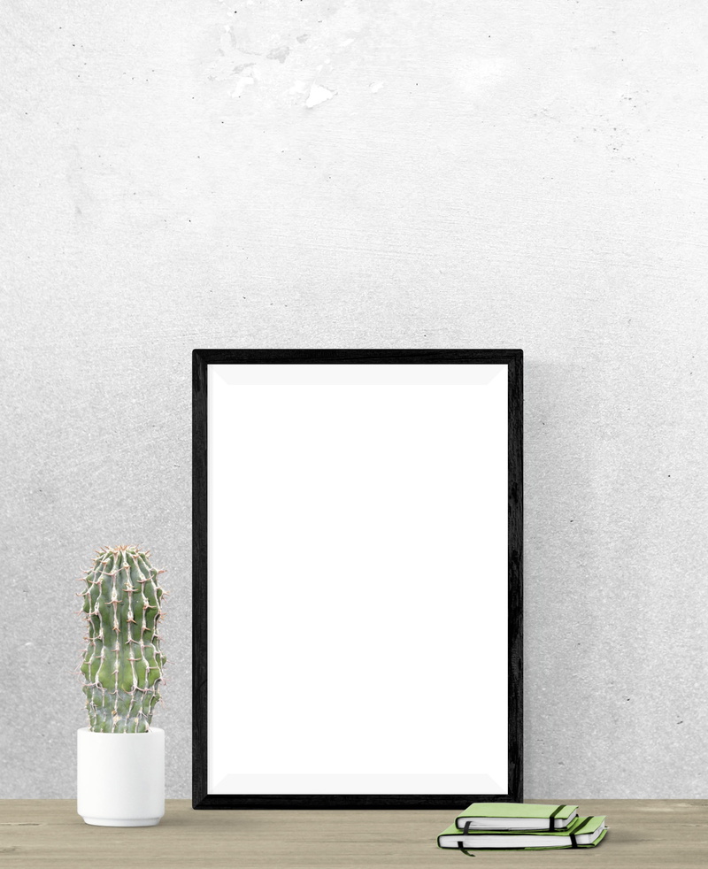 white color, mock, no people, copy space, blank, decoration, 2K, houseplant, still life, potted plant, flowering plant, nature, portrait, architecture