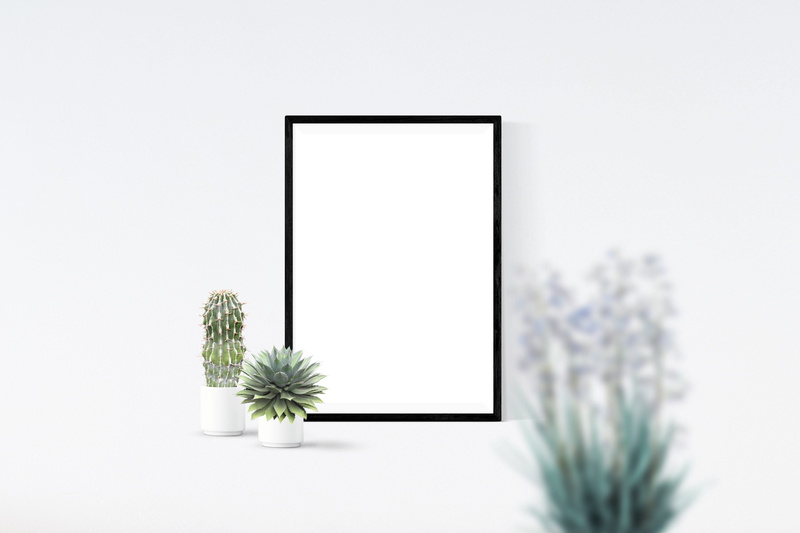 wall, flower head, studio shot, leafed, desk, 5K, nature, decor, growth, poster, houseplant, plant, beauty in nature, interior, simplicity, mock, pots