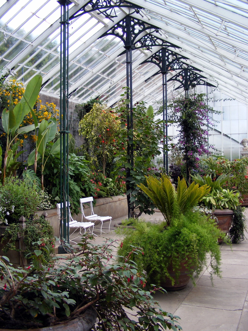 indoors, built structure, glasshouse, greenhouse, ornamental garden, nature, plant, nursery, growth, 2K, horticulture, green color, botany, seating, no people