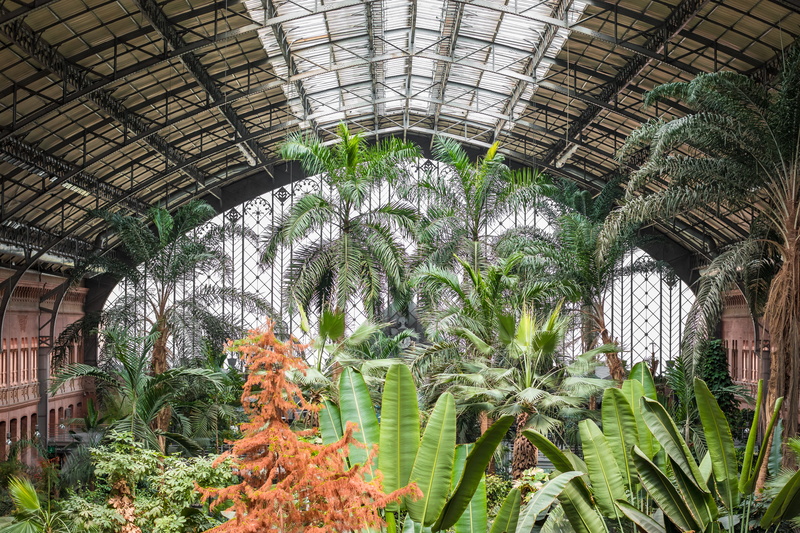 madrid, indoors, palm trees, beauty in nature, spain, abandoned, plant nursery, nature, ceiling, atocha, architecture, arch, tree, agriculture, no people