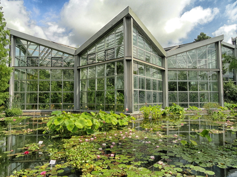 building, reflections, botanical garden, plant, growth, sky, leaf, outdoors, effect, 4K, built structure, clouds, water, nature, gray, lily pads, reflection