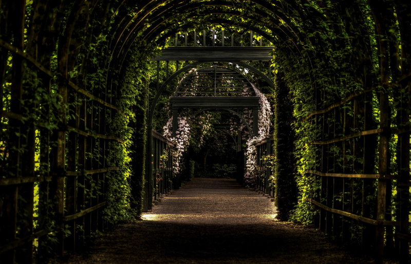 botanic gardens, 4K, nature, flowers, leaves, trees, Netherlands, arch, wood, path, tunnel, grid, branch