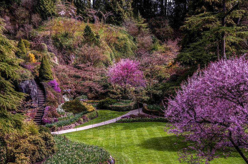 Canada, ladder, trees, flowers, the rise, 2K, track, blooming, steps, the bushes, garden, Butchart Gardens, lawn, Vancouver