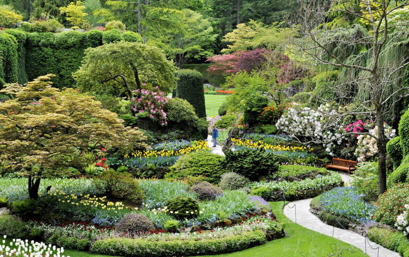 tulips, gardening, plants, gardens, japan, landscaped, track, summer, growth, scenics - nature, park - Man Made Space, flower, nature, leaf, flowerbed
