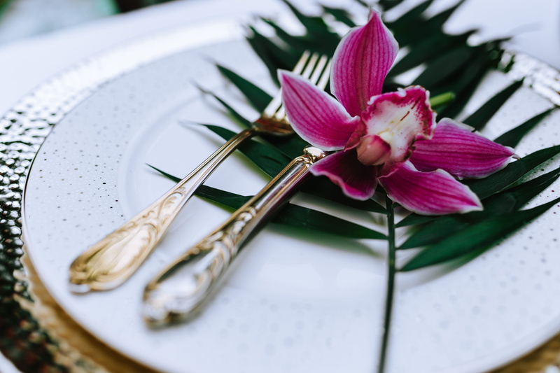 inflorescence, flower, fragility, Flowers, pink color, freshness, close-up, growth, Greenery, Exotic, outdoors, nature, silverware, Colorful, flowering plant