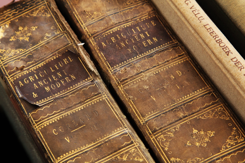 education, old-fashioned, museum, publication, wisdom, historic, antique, cover, architecture, age, close-up, brown, Modern, hardcover Book, stack, no people