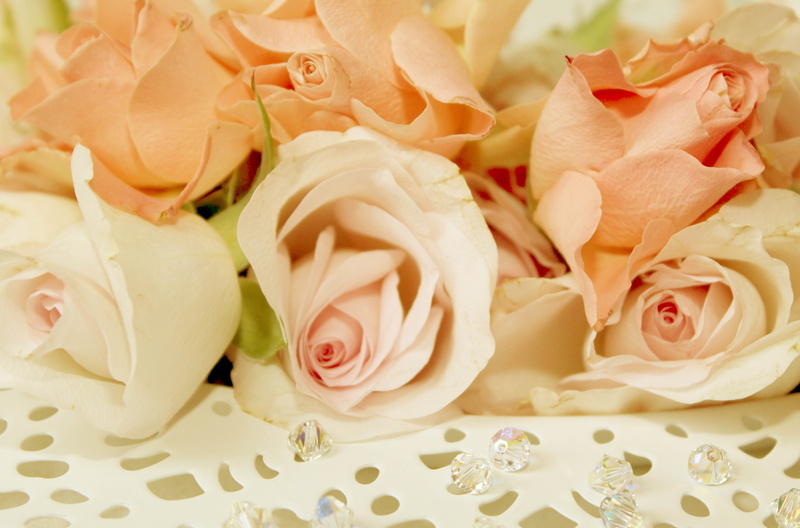 softness, flower, close-up, full frame, pink, no people, romantic, blossom, petal, vintage, bouquet of roses, white, flower arrangement, 8K, flower head