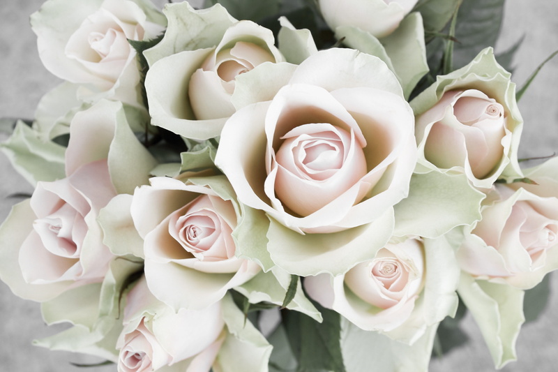 5K, flower arrangement, beauty in nature, softness, high angle view, full frame, freshness, nature, bouquet, petal, outdoors, rose bouquet, inflorescence
