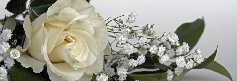 rose, close-up, wedding, petal, fragility, marry, roses, freshness, vulnerability, header, beauty in nature, marriage ceremony, wedding day, bunch of flowers