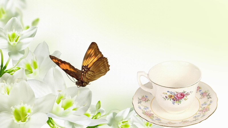 elegance, firefox persona, butterfly, lily, 1080P, floral, white, flowers, 3d and abstract, coffee