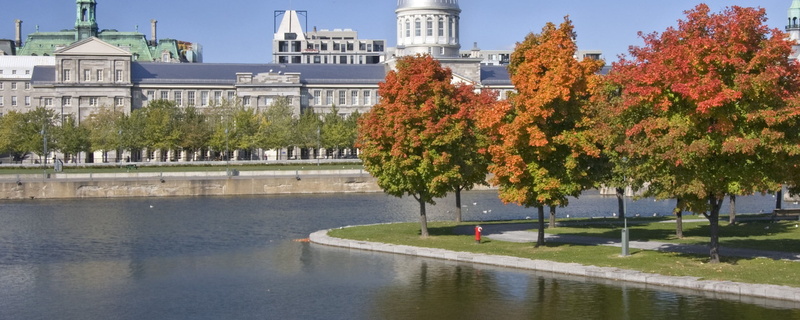 building exterior, growth, reflection, river, tree, Montreal, change, architecture, hotel, brown, building, Canada, plant, white, 2K, city, outdoors, no people