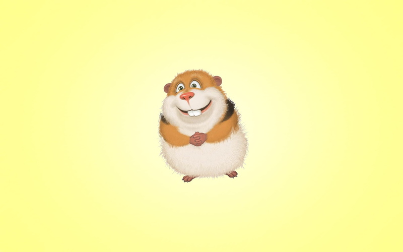 cat, brown, toy, portrait, backgrounds, young Animal, bird, studio shot, representation, looking at camera, yellow, mammal, hamster, looking