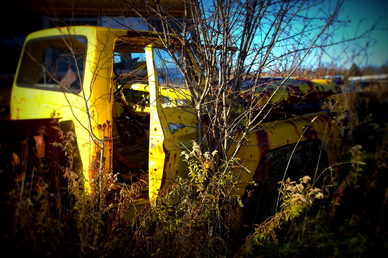 outdoors, mode of transportation, obsolete, transportation, car, red, built structure, metal, rusty, tree, broken, vintage, old, no people, plant, rust