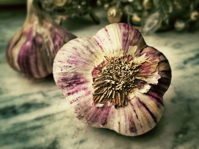 flowering plant, red onions, mediterranean, outdoors, healthy, rural, food and drink, nature, aromatic, plant, smell, onions, onion, raw food, healthy eating